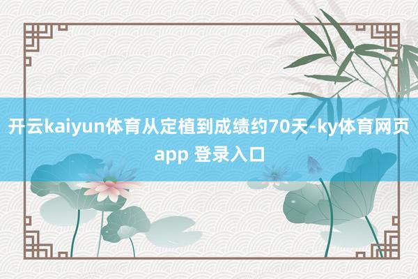 开云kaiyun体育从定植到成绩约70天-ky体育网页app 登录入口