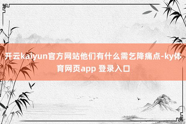 开云kaiyun官方网站他们有什么需乞降痛点-ky体育网页app 登录入口