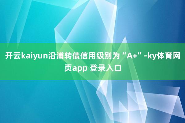 开云kaiyun沿浦转债信用级别为“A+”-ky体育网页app 登录入口